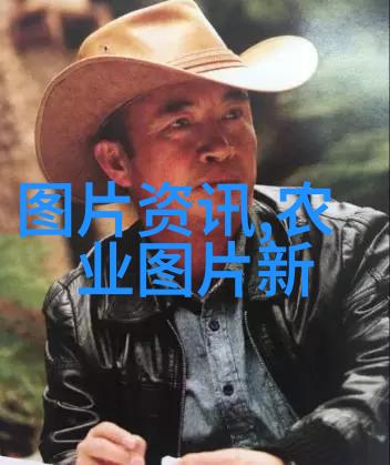 万宁市委常委新时代的政治家与城市建设者