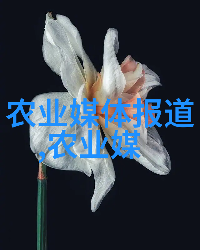 电影巜健身房激情HD体验影视世界中的激情与汗水