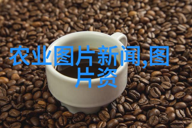 茶入门咖啡党也能爱上这杯我是如何从零到英雄的茶饮之旅