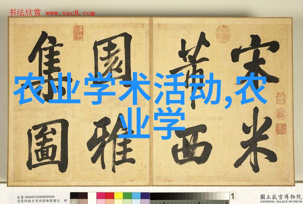 根芹奇缘从菜园到明星的荒谬征程
