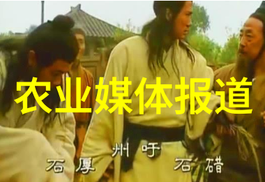 7月9日，在山东莱西市一家智慧农业产业园，工人在采摘西红柿。