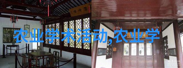 飞哥养蜂技艺探索蜜源之谜与蜂群智慧