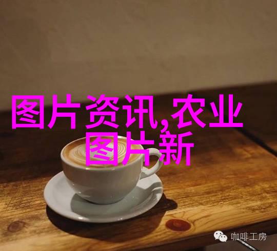 中国作物学会关于开展国际组织任职专家信息填报的通知