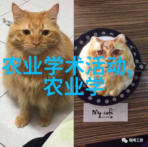 辽宁适合种植什么药材-辽宁境内的理想药用植物选择与养护指南