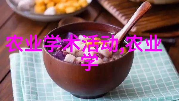 创新解决方案利用多功能的大型旋耕起垄施肥一体机改善作物生长条件