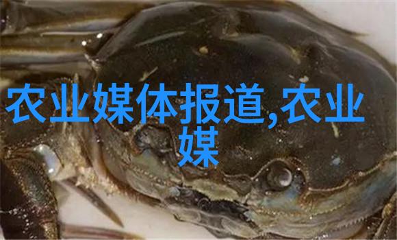 茶叶养生秘方泡杯健康之源