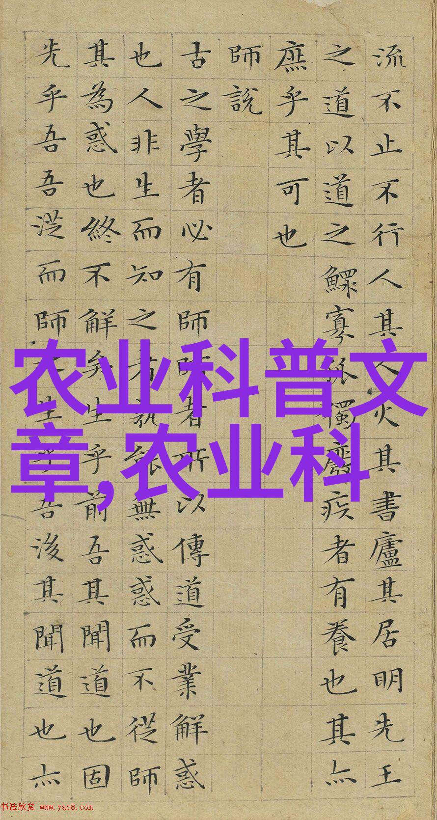 让每一餐都充满活力探索适合夏季的水果和蔬菜