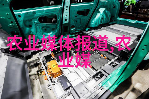 我爱的甘蓝菜怎么炒才香