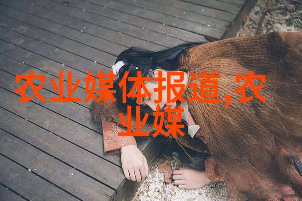 夏秋播种胡萝卜技术要点