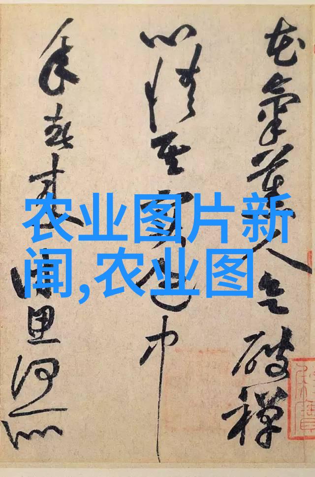 四叔一代村民领袖的生活与思想研究