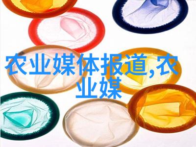 今天家里没人姐姐是你的温馨家庭的孤独与陪伴