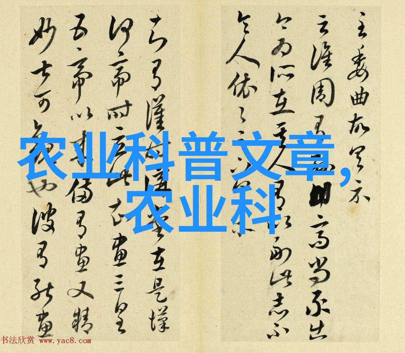 家庭适合养殖什么创业项目-家园里的金钱树探索家庭友好的养殖模式