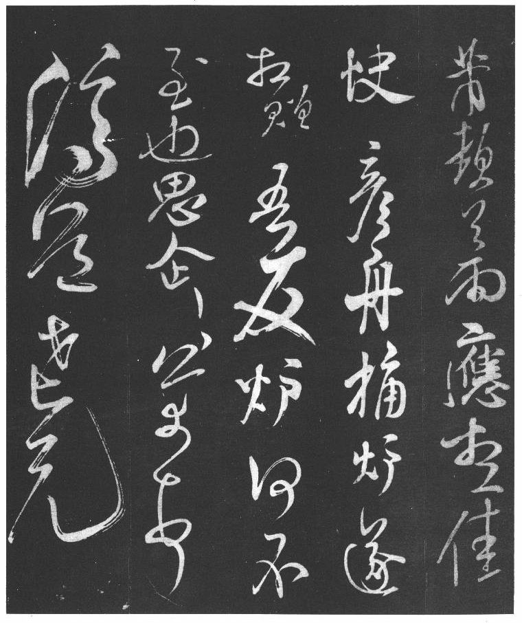 宠物医生梦想校揭秘大专宠医学哪家强