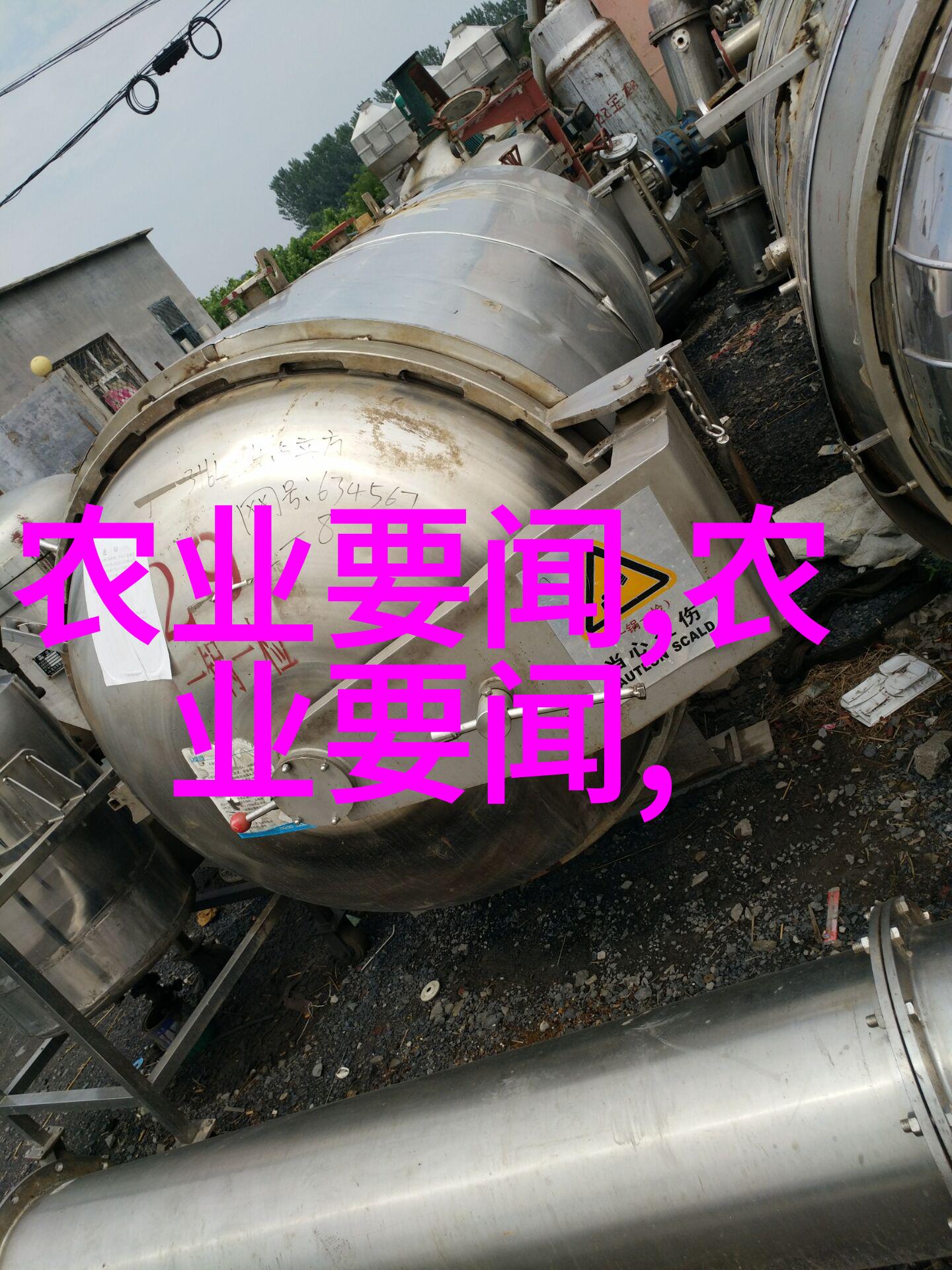 品茗时光揭秘茶文化的奥秘