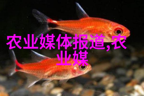 竹鼠养殖技术大全我是如何把小竹鼠培养成大肥猪的