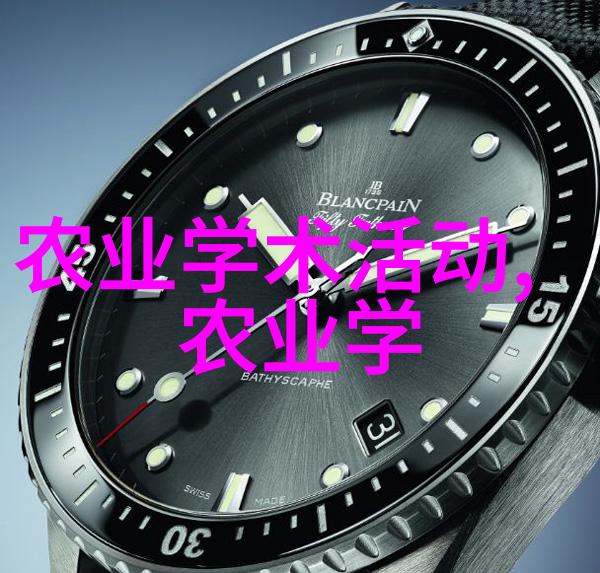 家养蜜蜂取糖技巧家庭蜜蜂采集花粉的全过程
