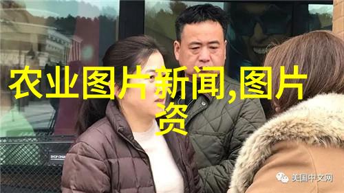 茶叶的神奇药用解开它的秘密与作用之谜