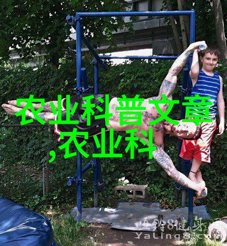 绿茵盛世探秘园艺中的树木多样性