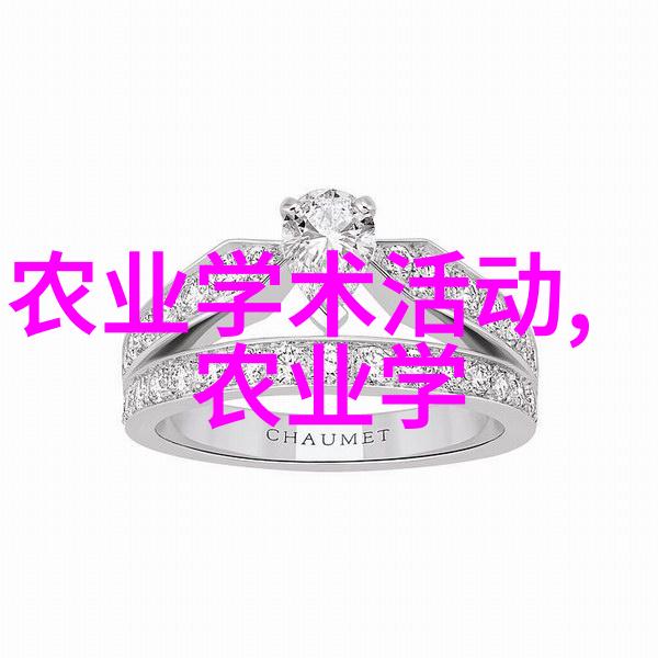 从零到英雄初学者冬季蔬菜种植实战经验分享