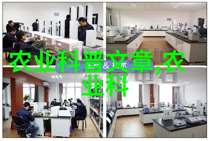 休闲农业与乡村旅游我在田间的悠然自得探索农家乐的魅力