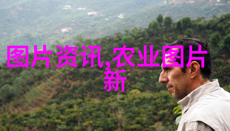 十大吉利花种植指南在家中种出好运