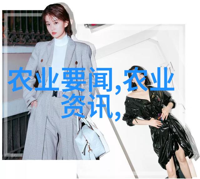现代农业技术-无需翻土的智慧免耕播种机的革命性应用