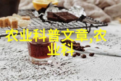微型城市花园设计让小空间也充满生长活力