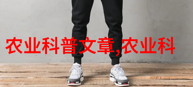 蜜蜂养殖实用技术与管理策略