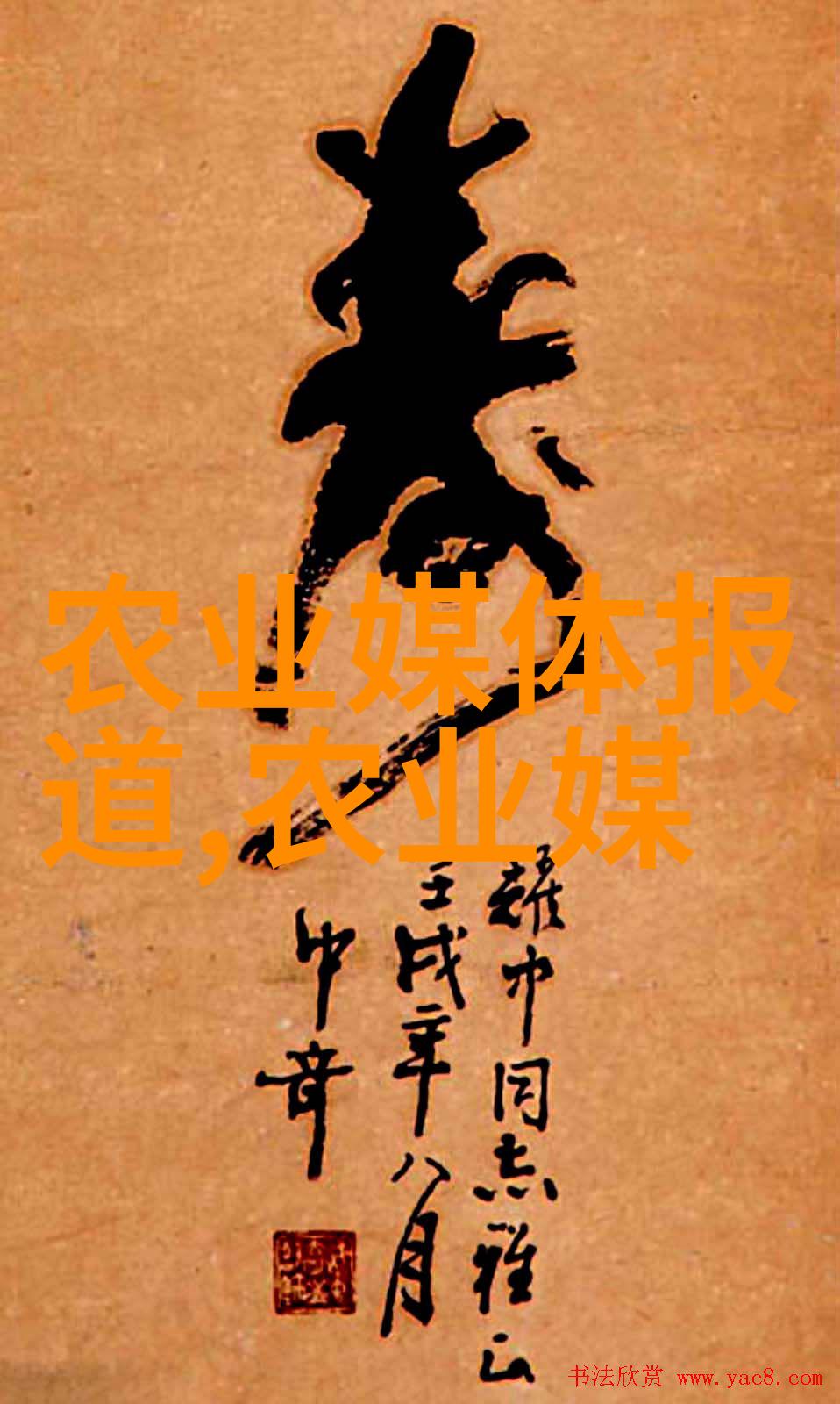 菏泽中药材种植基地我在这里找到了自然与科技的和谐共生