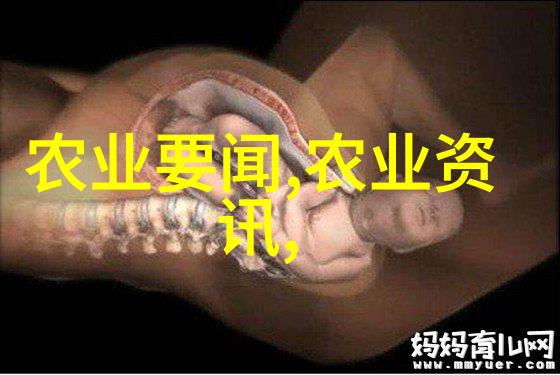 温馨的绿意盎然家庭花卉盆栽的魅力与实用性