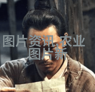 色彩搭配秘籍让你的室内植物更美观