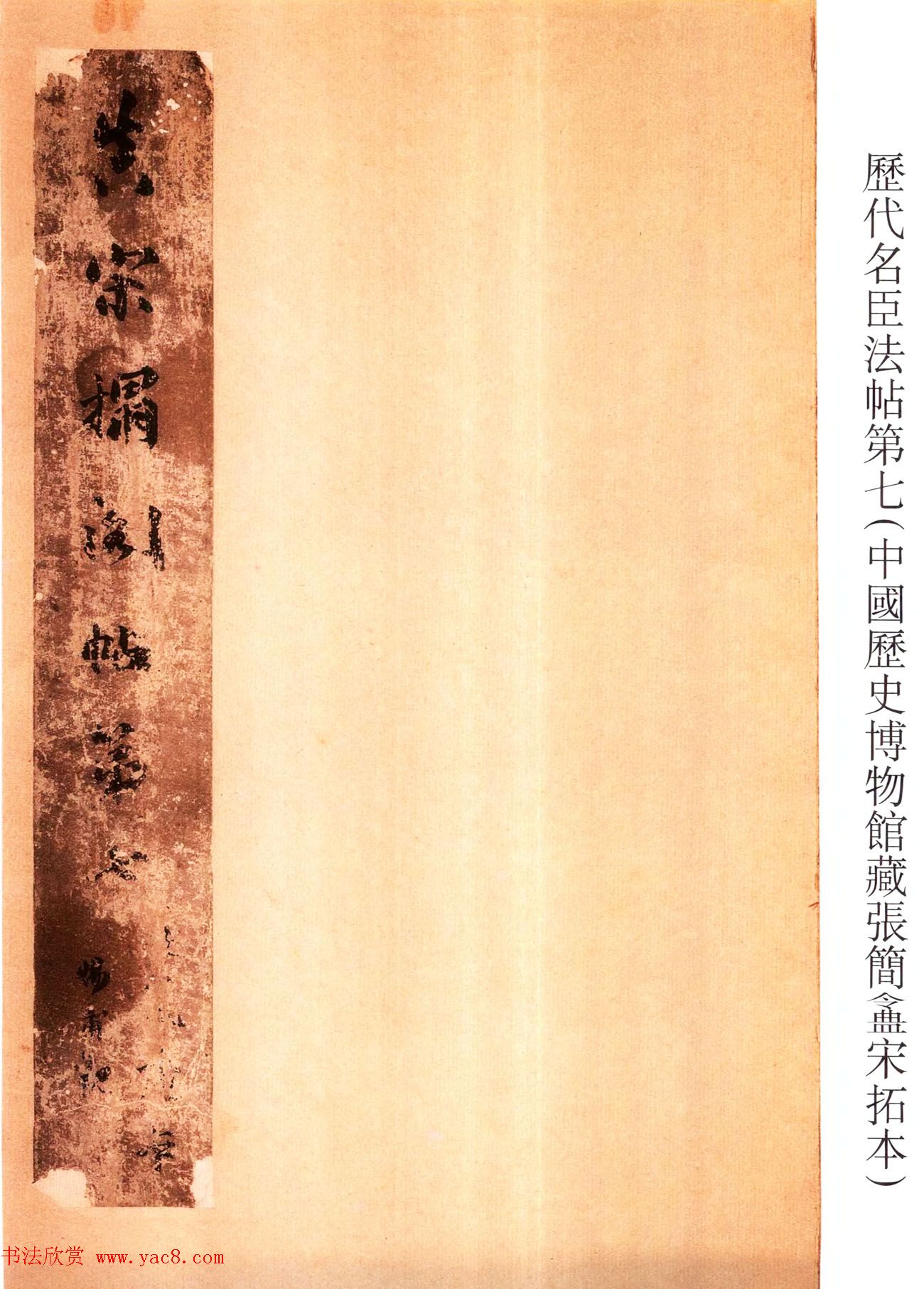 药材种植合作公司我和我的伙伴们一起种出健康的金钱