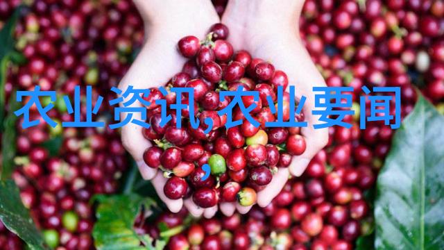 养牛合作公司-牧场共赢养牛合作公司的可持续发展之道