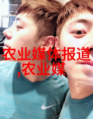 一亩大棚投资预算农业科技现代化项目成本分析