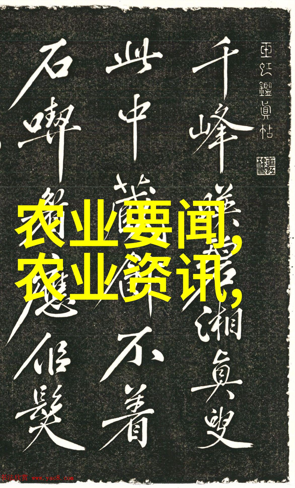 养殖技巧-精准养蟾探索高效蟾蜍养殖方法