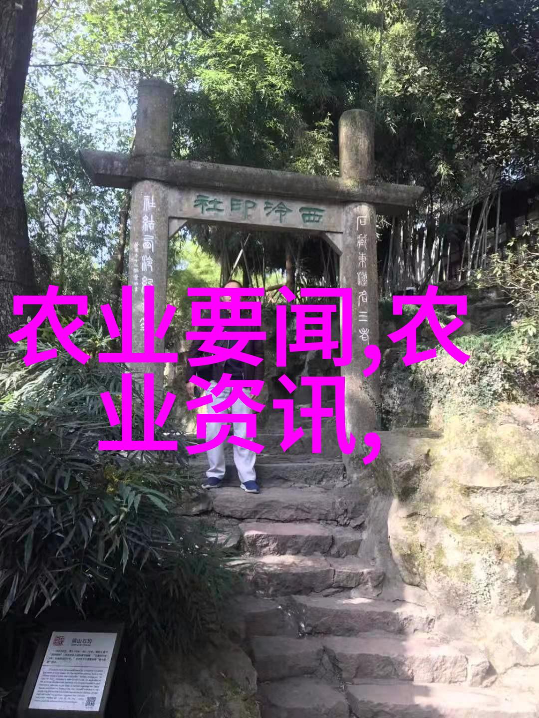新能源时代来临生物质能可以从哪里获得最高回报