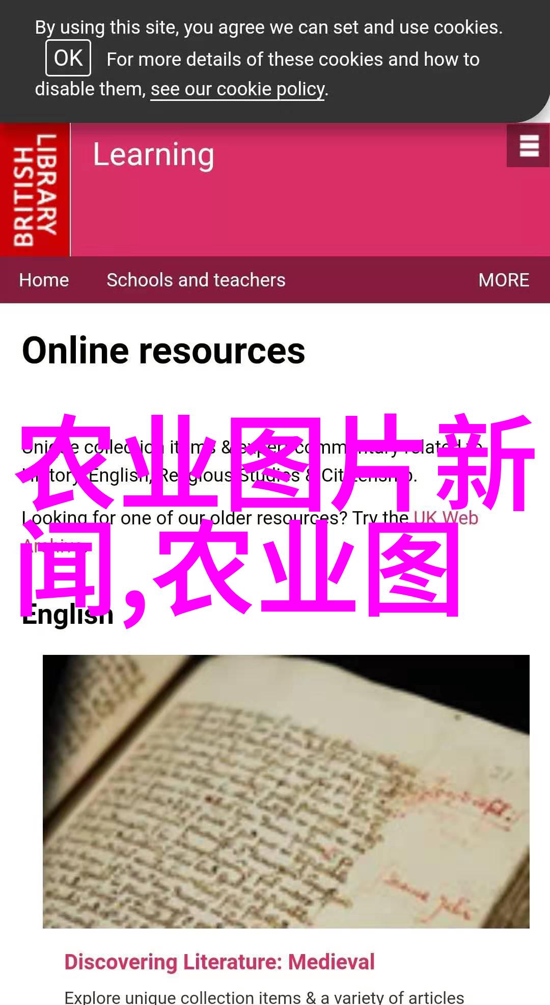 娃娃鱼养殖技术我来教你如何轻松把家变成小型水族馆