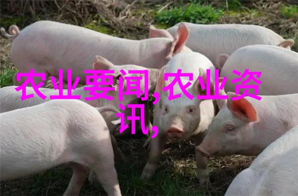 农药肥料-精准施用绿色农业的新篇章