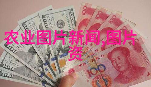 冬日暖阳雪菜的温馨故事