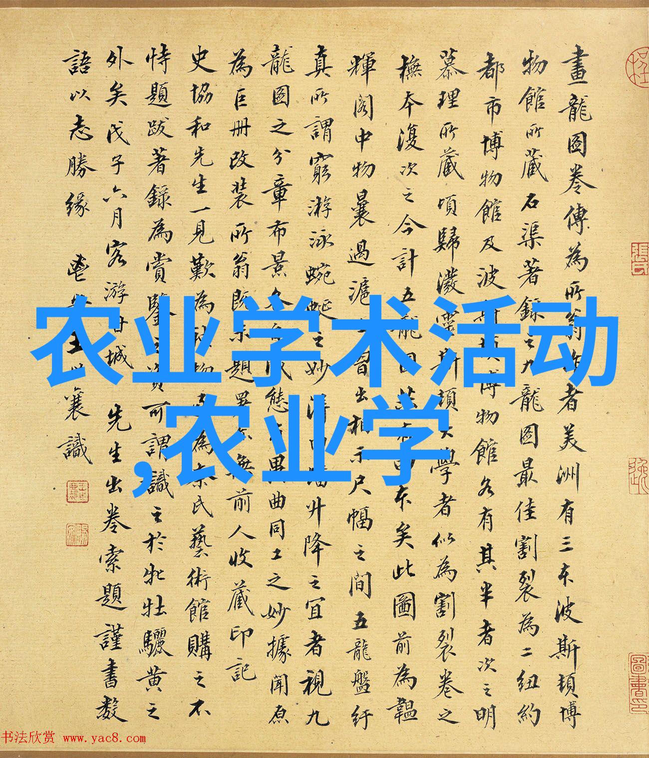 茶树叶片的秘密翠绿的画卷与香气的诗篇