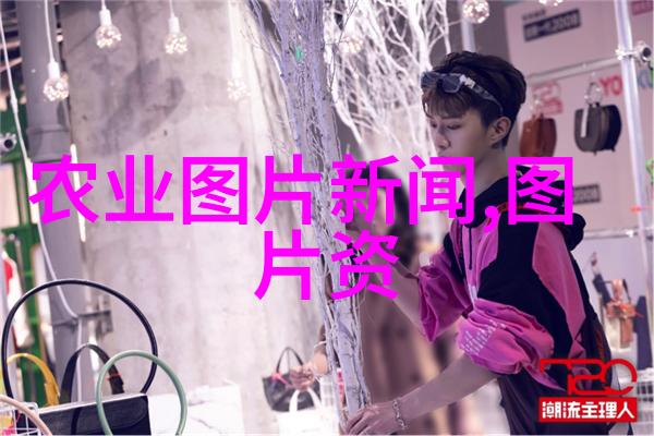 茶语笑谈揭秘中国茶叶的幽默故事
