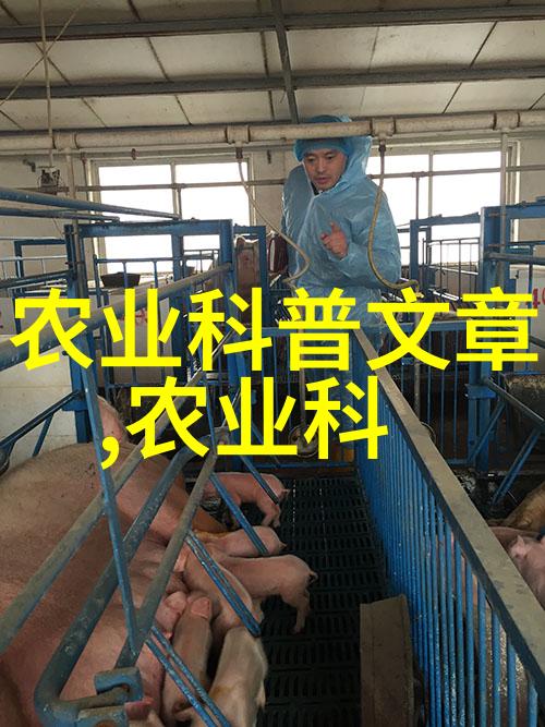 桂林山水有情广西秘境中的名贵中草药