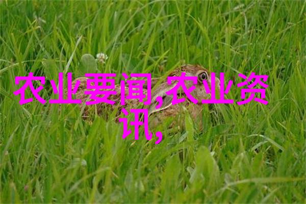 种植回收未来城市的绿色梦想如何生根发芽