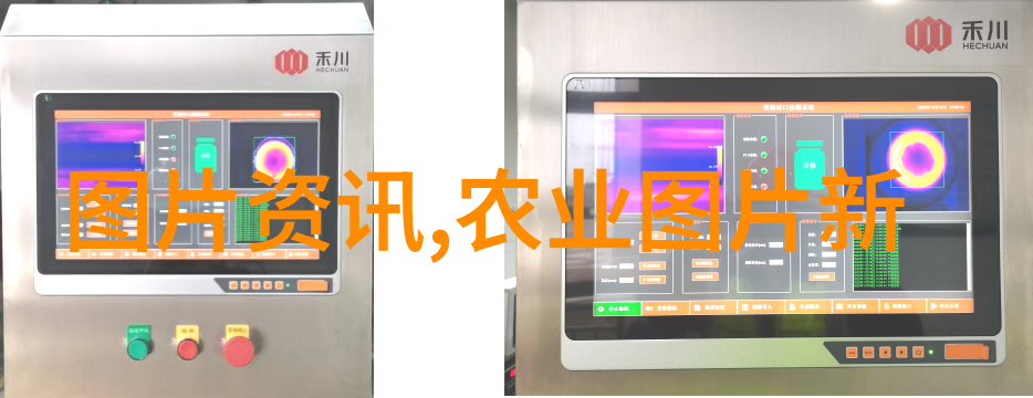 蜜蜂养殖技巧视频提高蜜蜂产量的秘诀