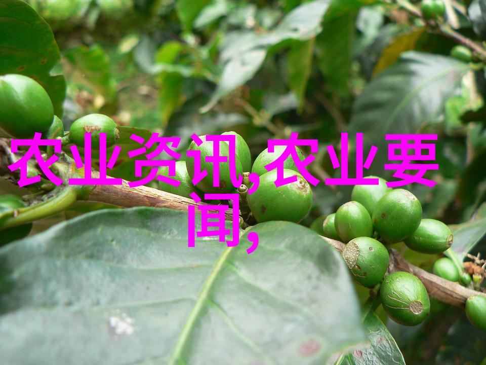 辽宁的药材宝库品尝山川的自然恩赐