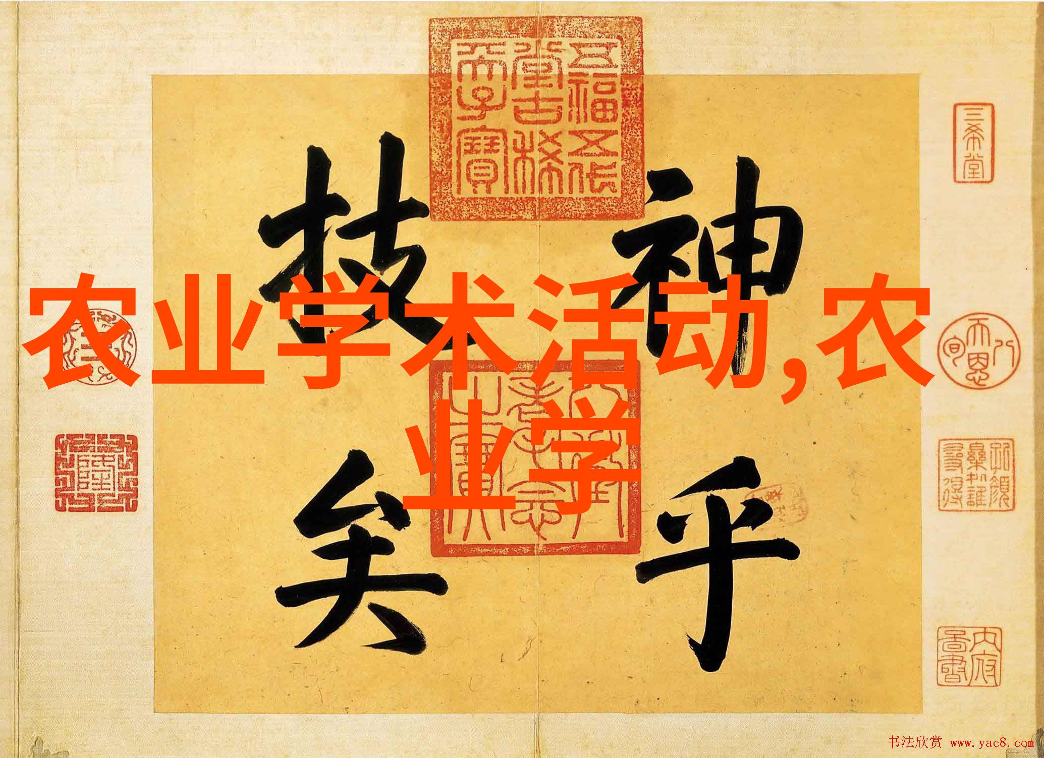 畜牧养殖-羊群圈养的高效养殖技巧与经验总结