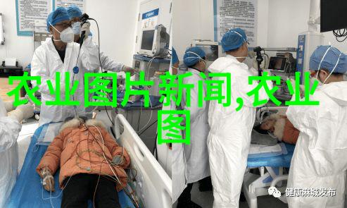 秋日阳台上的水果园选择适合季节的品种
