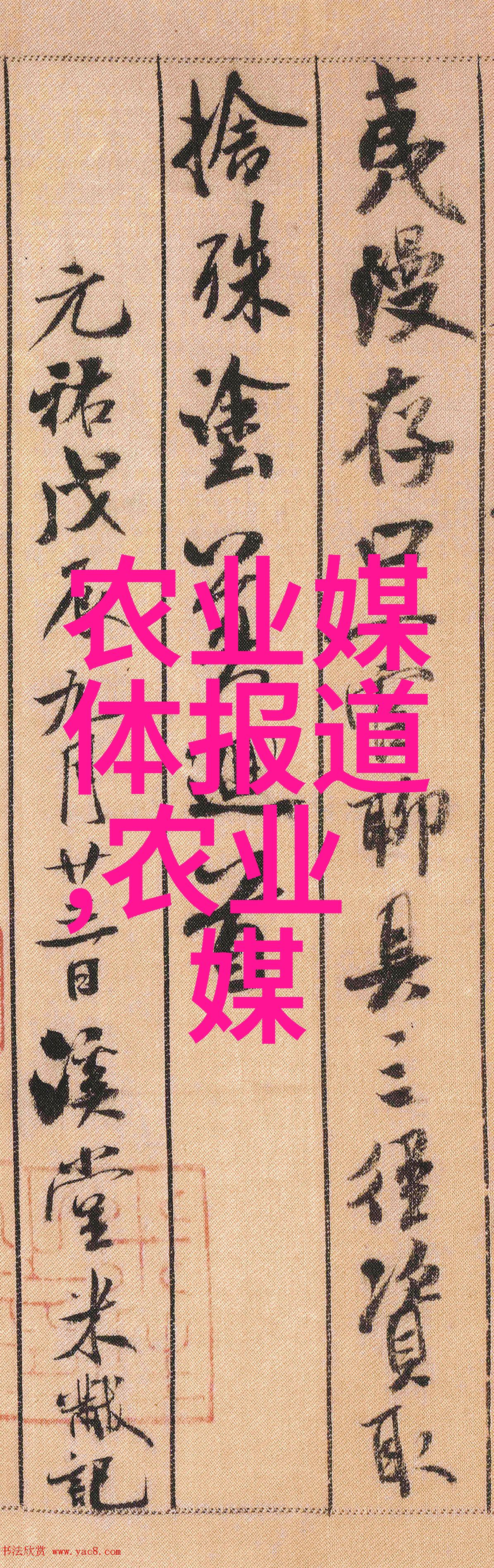 绘制自然风景线十年老化枫树作为装饰品选购指南
