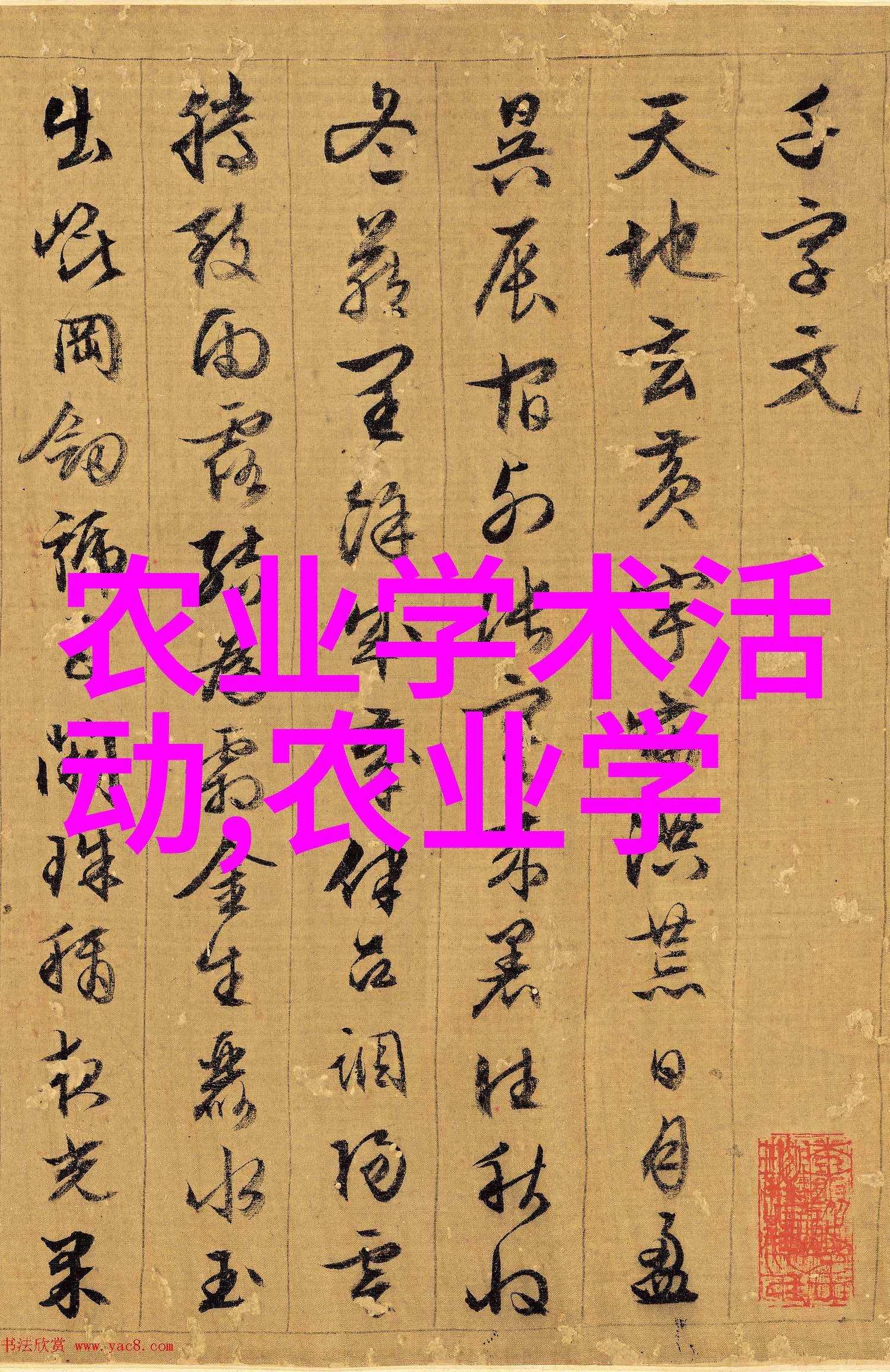 家庭花卉盆栽亲手养育家中的绿意与美丽