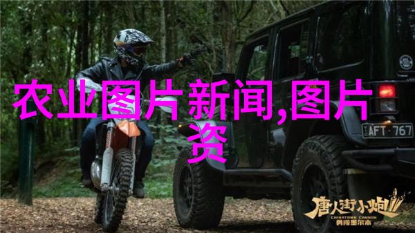 中国农业科技的新纪元智能化生态化与高效益的结合